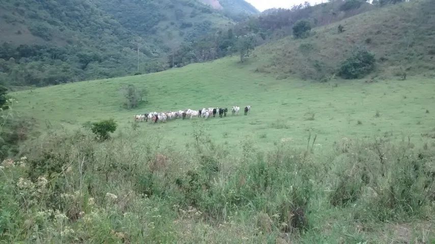 Terreno Rural TERRENO RURAL COM LINDA PAISAGEM 127HA - Terrenos, sítios e fazendas ...