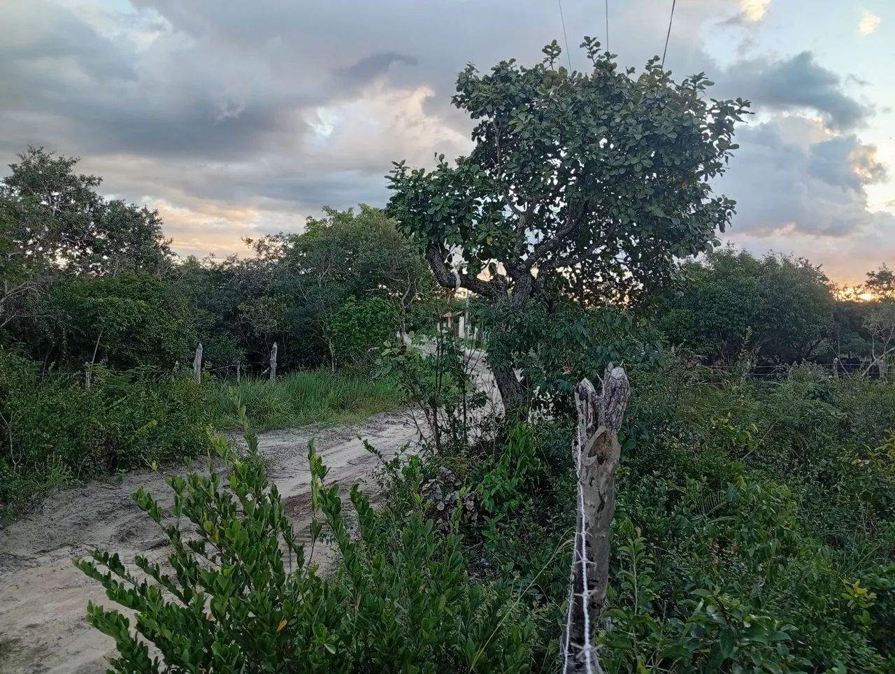 Vendo casa com terreno, de fundo para o rio!! - Foto 2