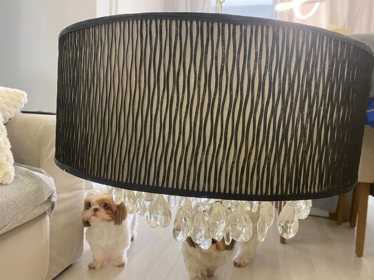 Lustre pendente  - Foto 5