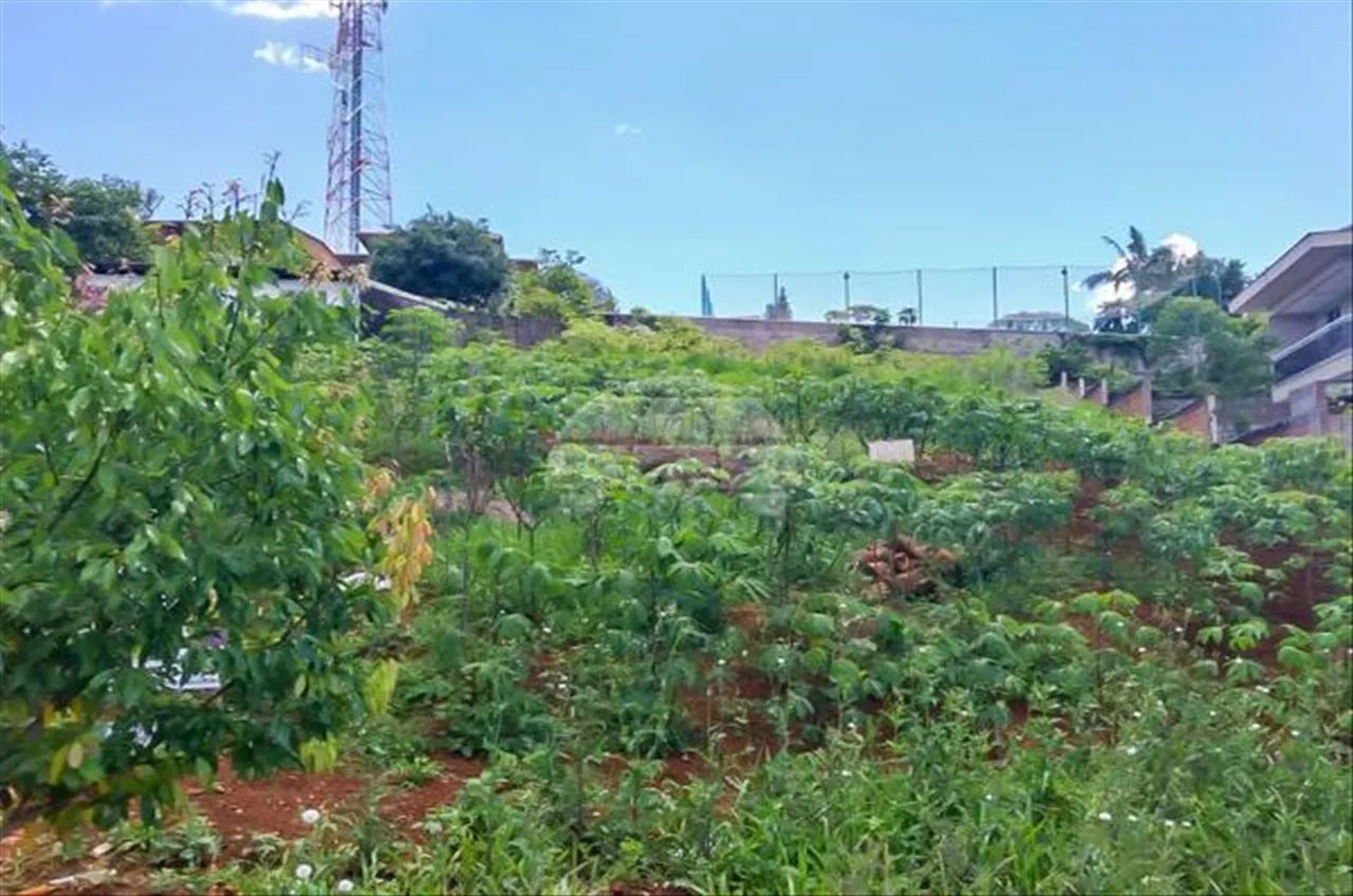 Vendas Terreno Pato Branco PR - Foto 4
