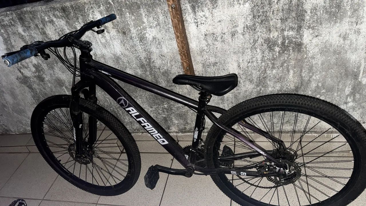 Bicicleta aro 29 alfamec