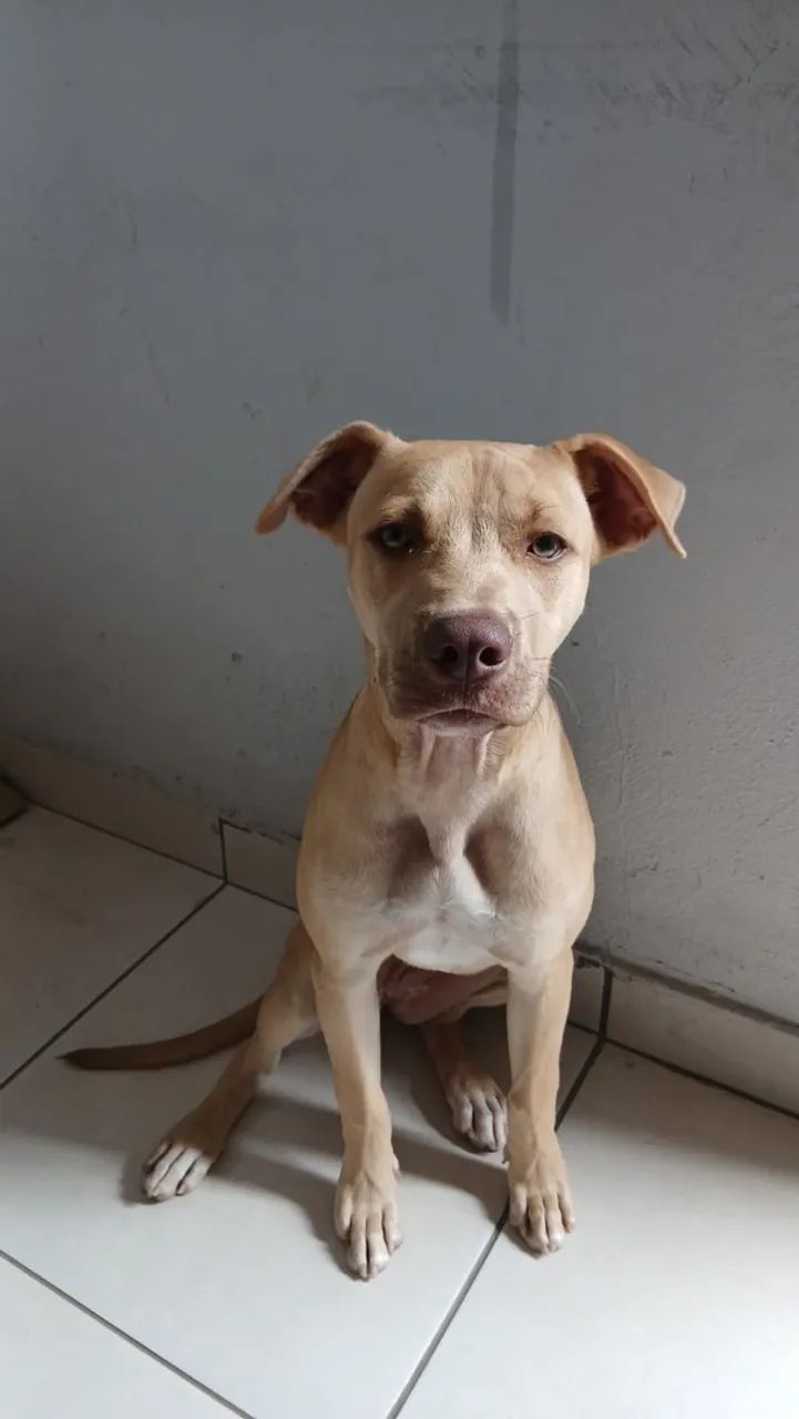 Doação  - Foto 3
