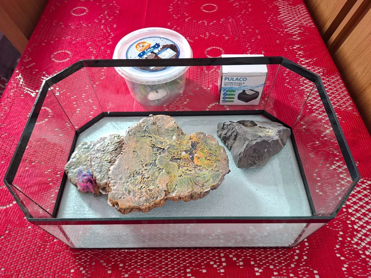 Aquaterrarium completo