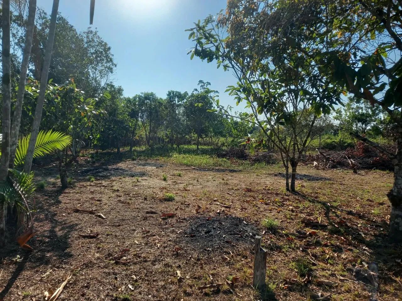 CASA  VILA DE NOVO REMANSO - Foto 3