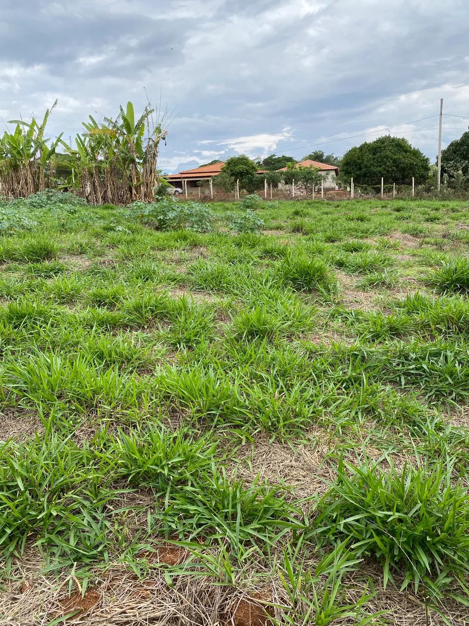 Terreno de 1000m2 - Foto 4