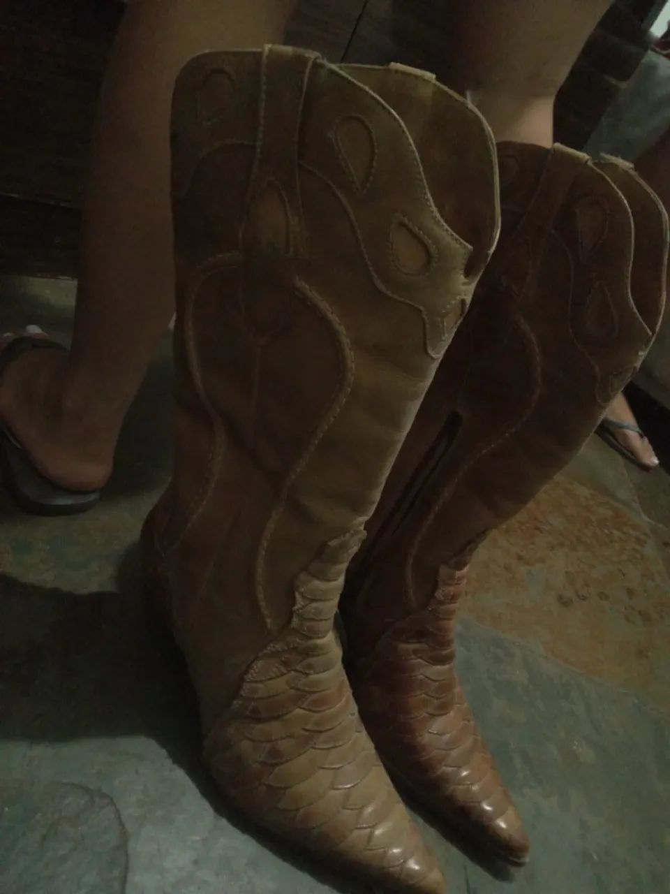 Bota