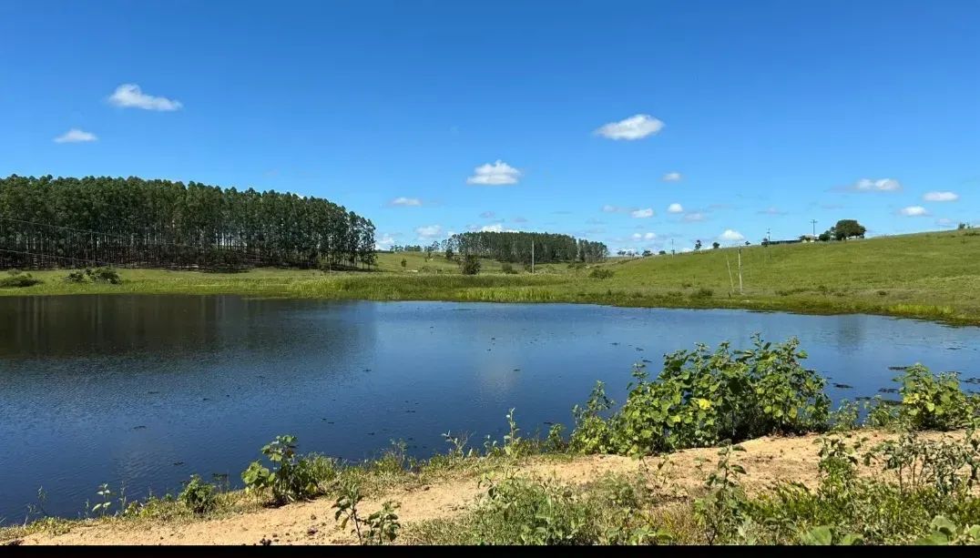 fazenda dupla aptidão pinheiros