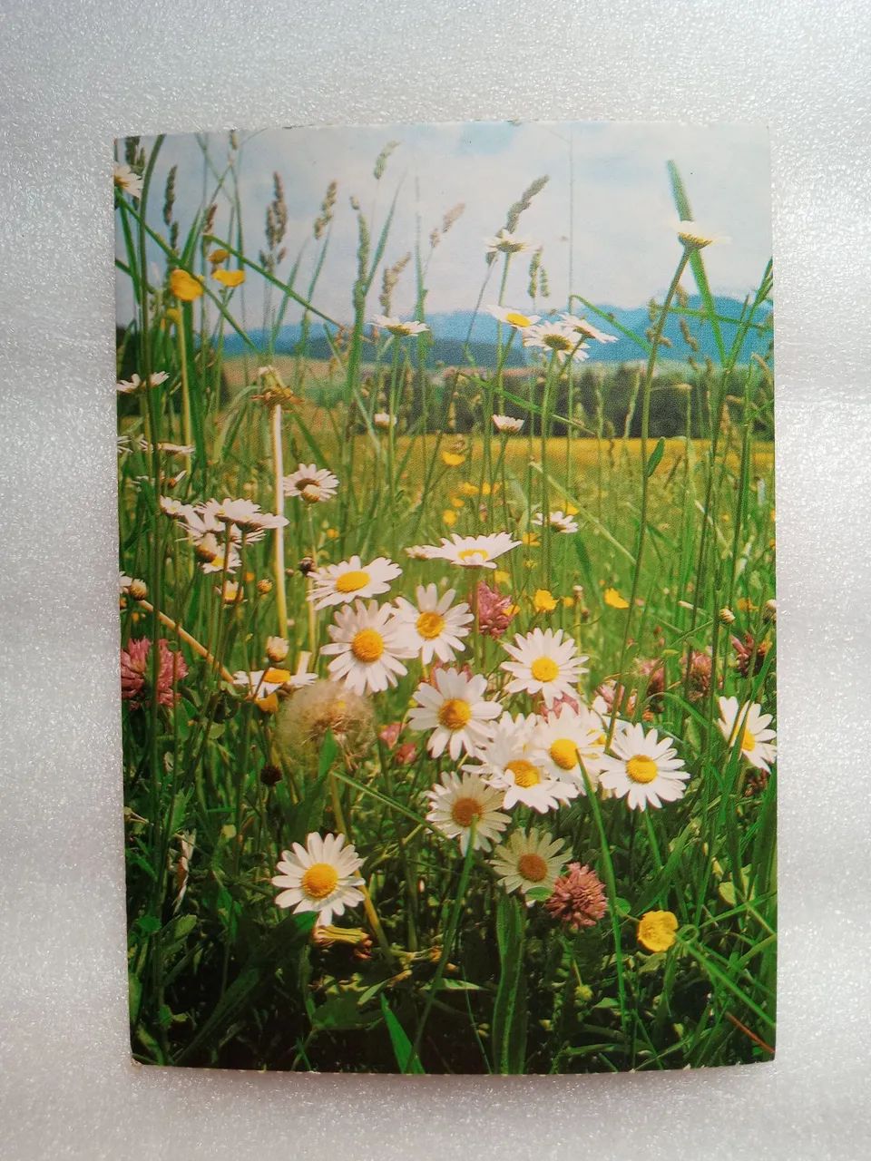 Lote com 10 Cartões Postais Antigos - Cidades do Brasil - Colecionismo - Foto 3