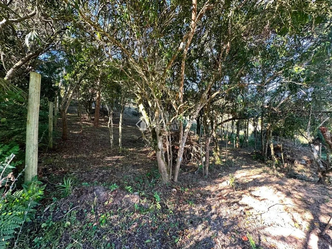 TERRENO DE 416,35M² Á VENDA NA PRAIA DO ROSA. - Foto 5