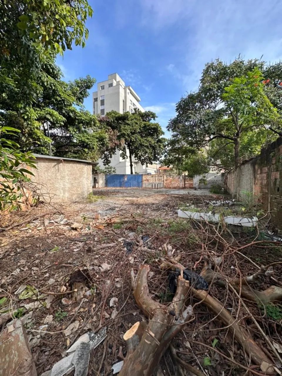 Aluguel - LOTE - SALGADO FILHO BELO HORIZONTE MG