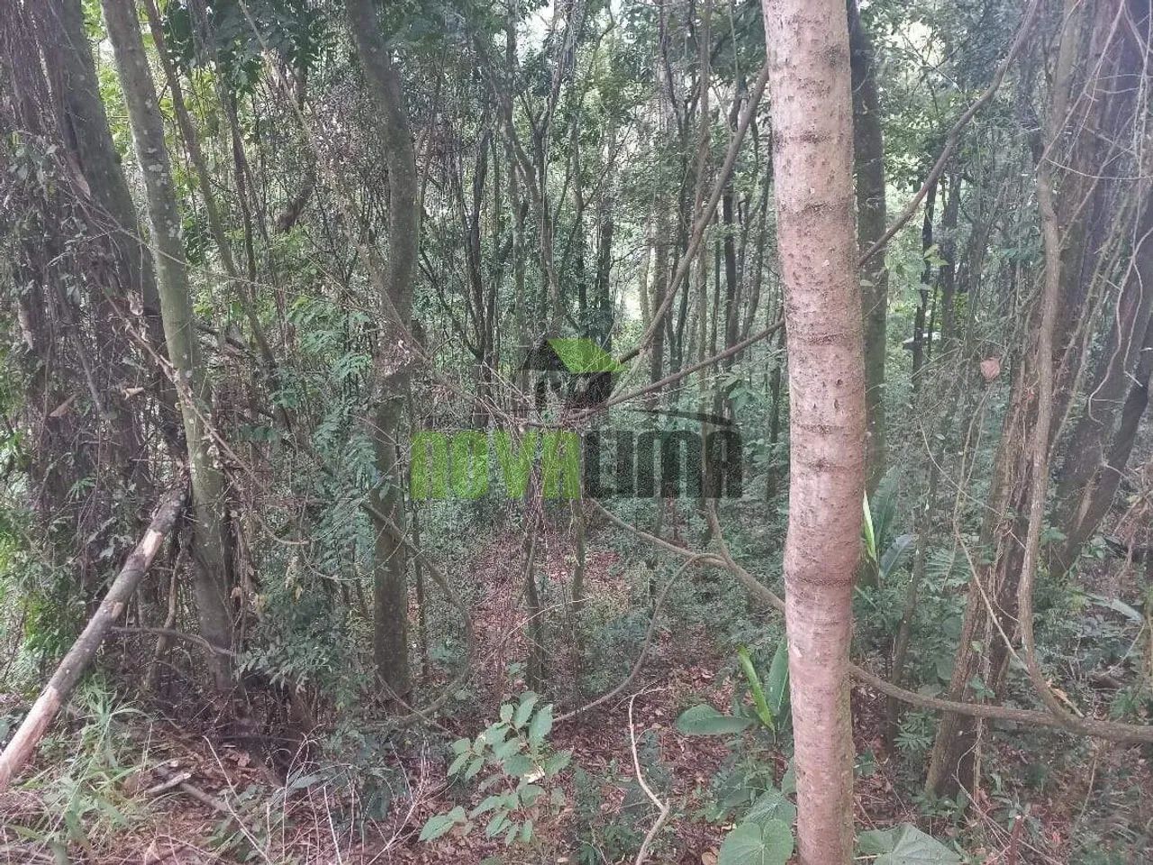 Lotes em Condomínio