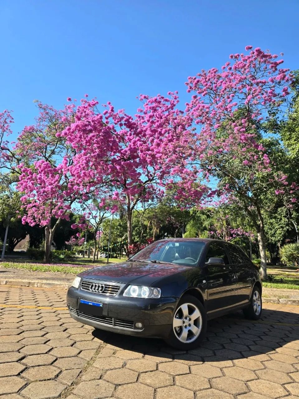Audi A3 A3 1.8 Turbo 5p Mec. 2003