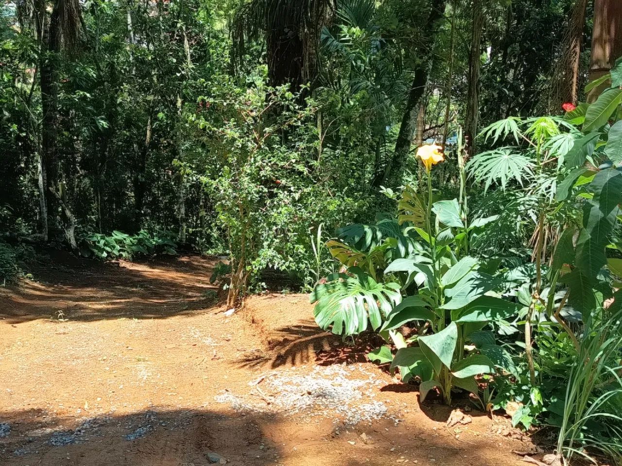 Vendo chácara. - Foto 3