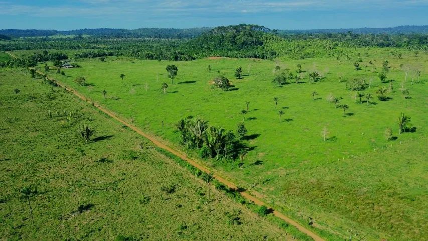 VENDO FAZENDA COM ÁREA DE 490 HECTARES - Foto 4