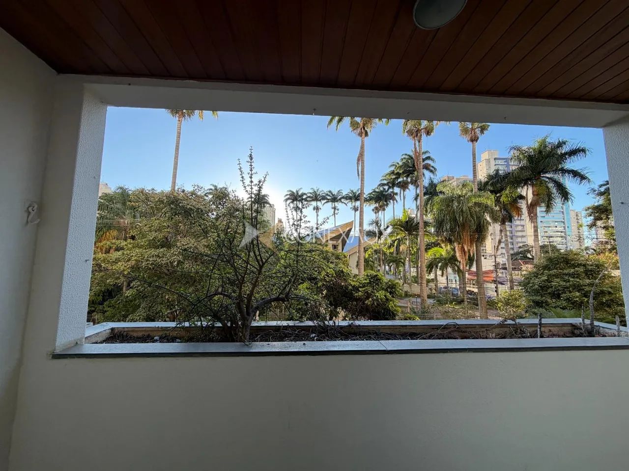 apartamento - Vila Itapura - Campinas - Foto 4
