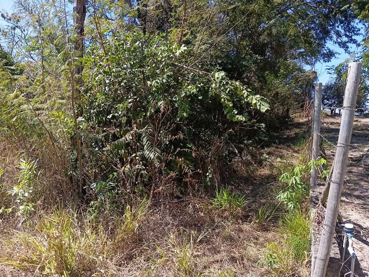 Chácara em Muniz/Caeté - Foto 2