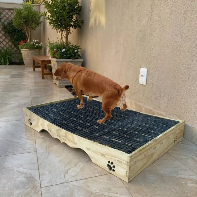 Tapete banheiro sanitário higiênico para cães - banheiro inteligente com mangueira e dreno - Foto 3