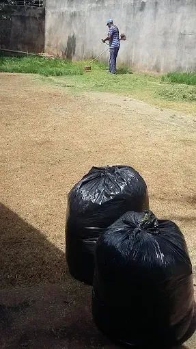 SERVIÇO DE JARDINAGEM  - Foto 5