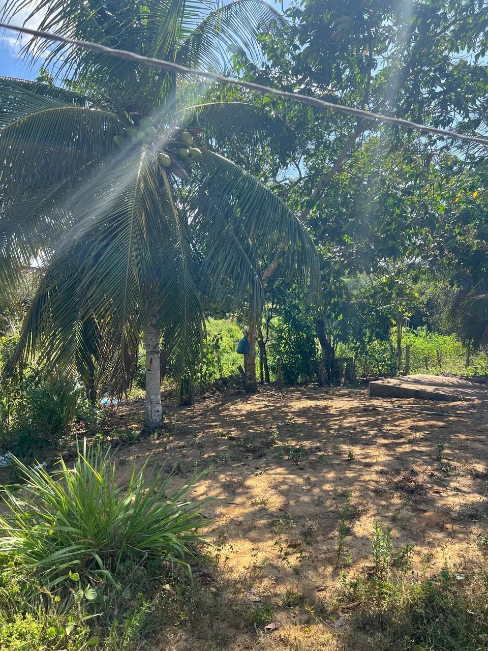 Terreno com casa na beira da estrada  - Foto 2