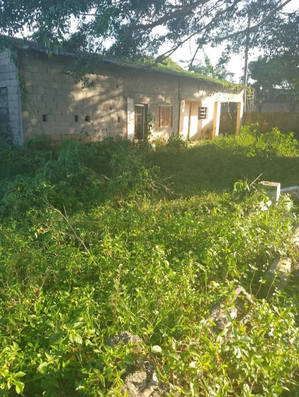 Foto - Mauá - Jardim Ipê