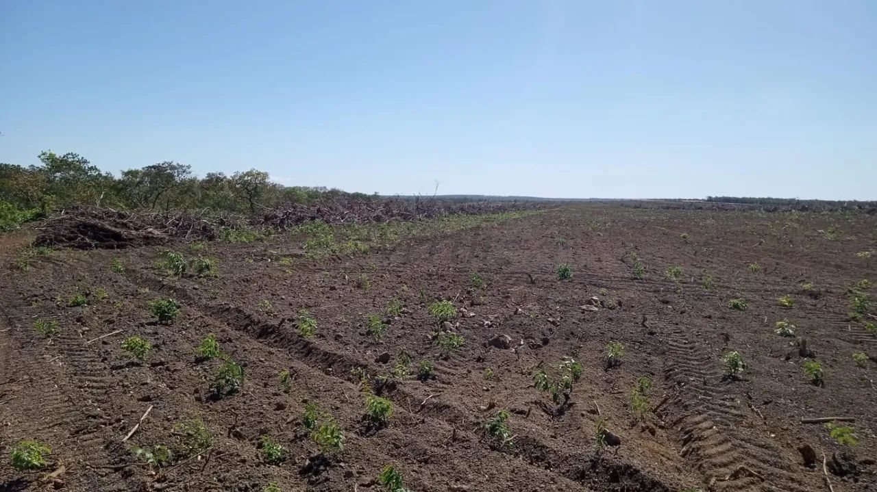 Fazenda à Venda  Santa Rita do Tocantins/TO
