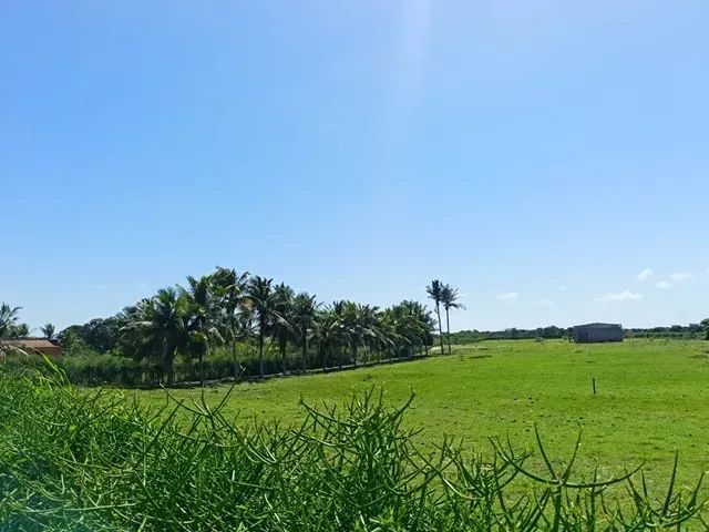 ÁREA 16.705,73 M² COM GALPÃO 300 M² - Foto 3