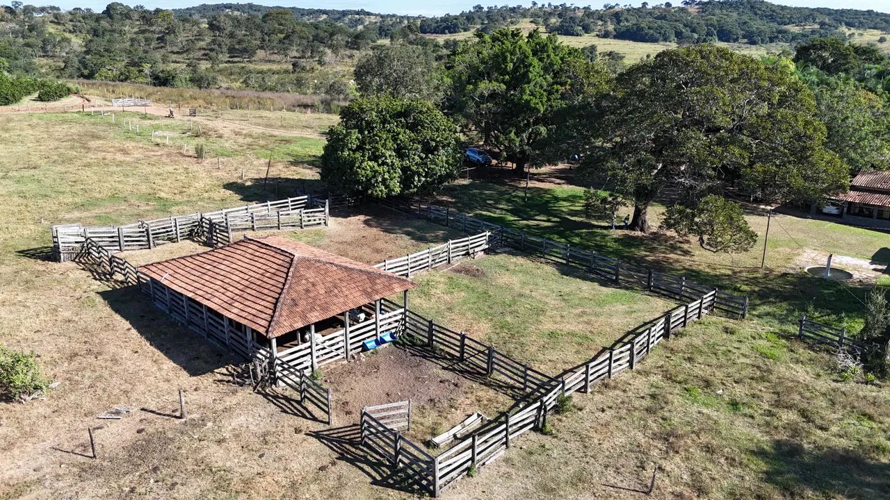 Fazenda de 31 alqueires professor jamil - Foto 2