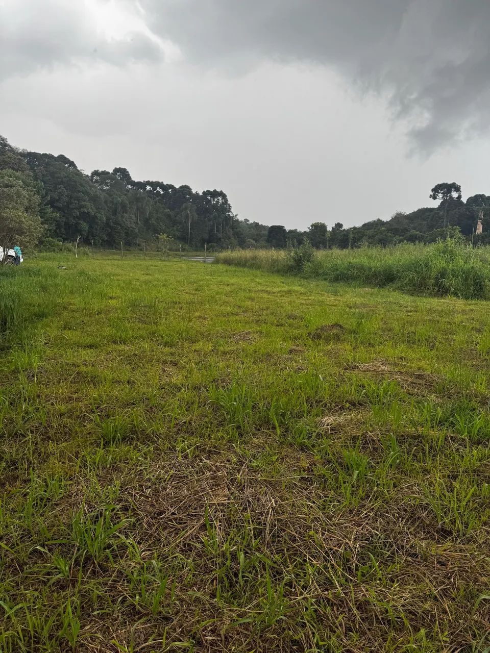 Terreno 732 m2 - São Caetano - Balsa nova Pr - Foto 5