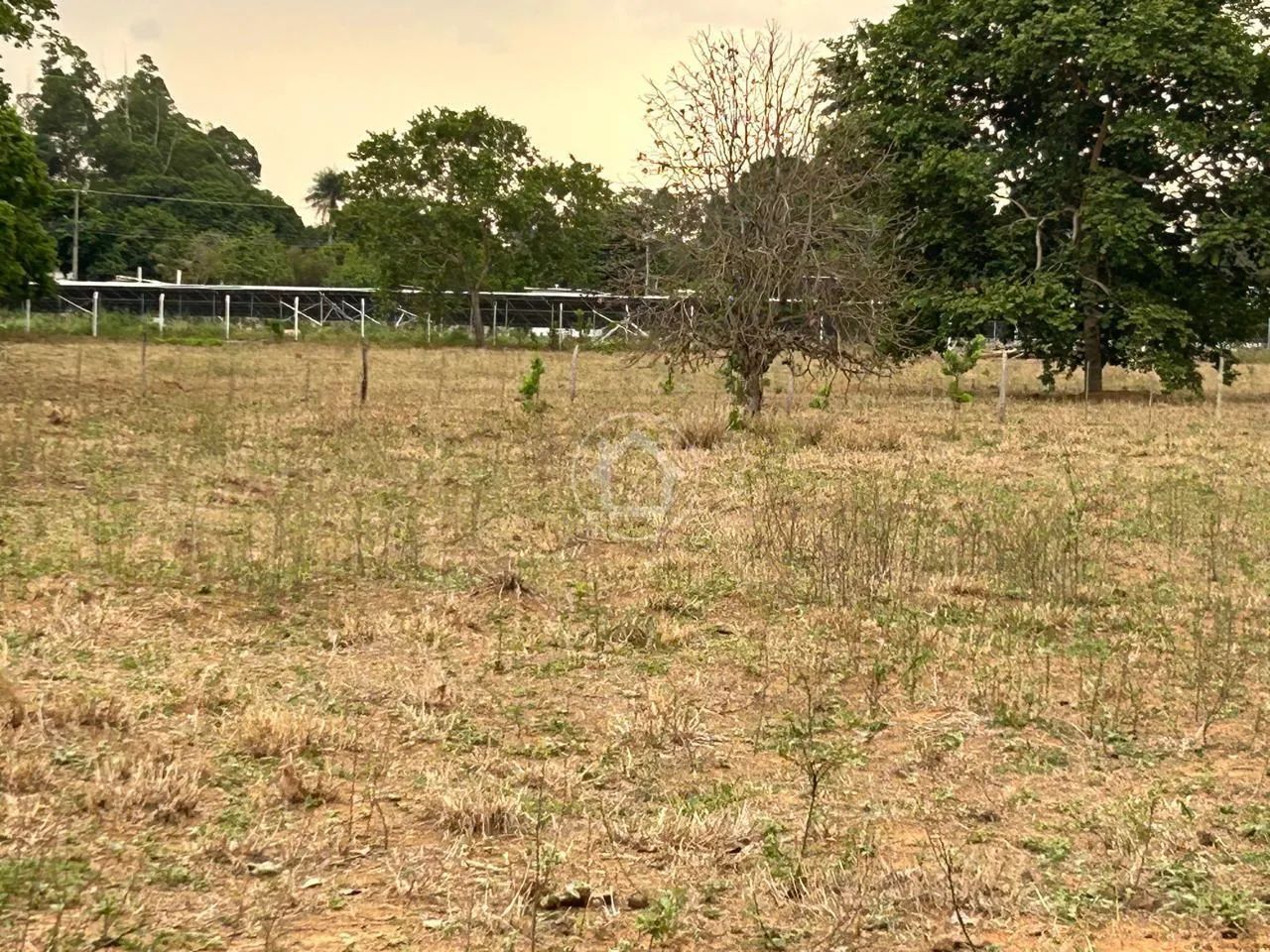 ÁREA DE 10000 M² CHÁCARA DAS MANSÕES - Foto 5