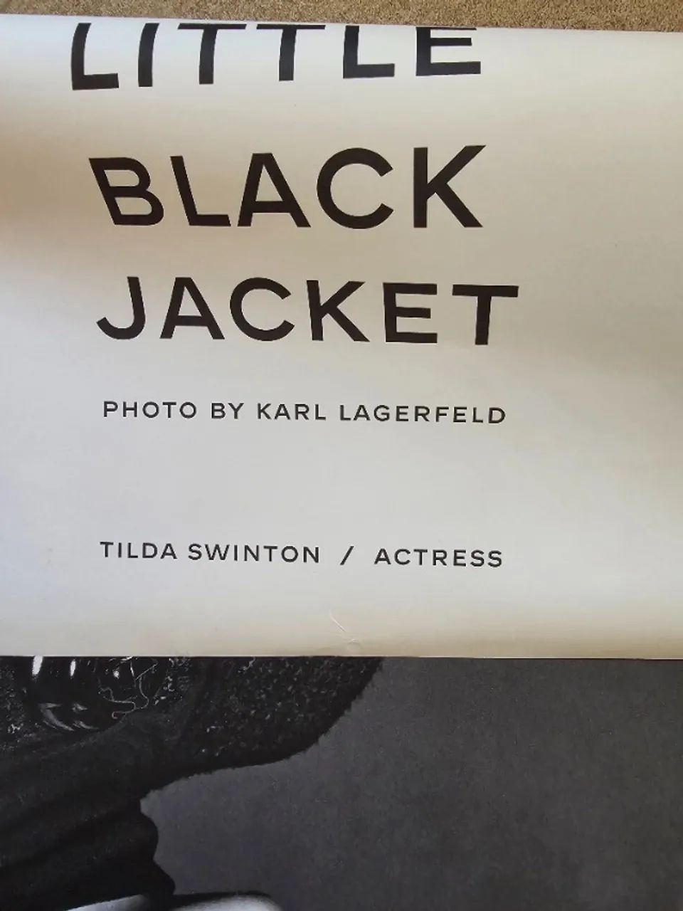 pôster tilda swinton: actress - Foto 2