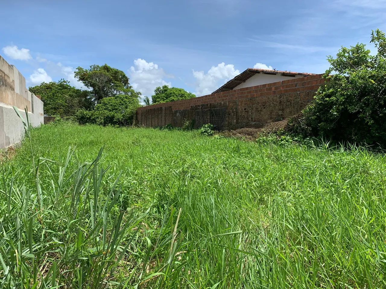  Terreno na santa amelia  - Foto 2