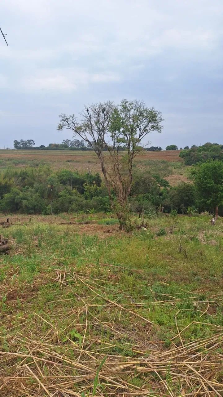 Terreno Cambé 5 mil m² - Foto 3