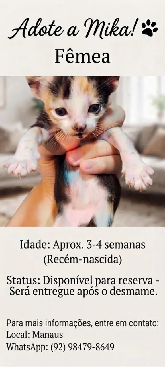Adote a Mika! ? - Foto 2