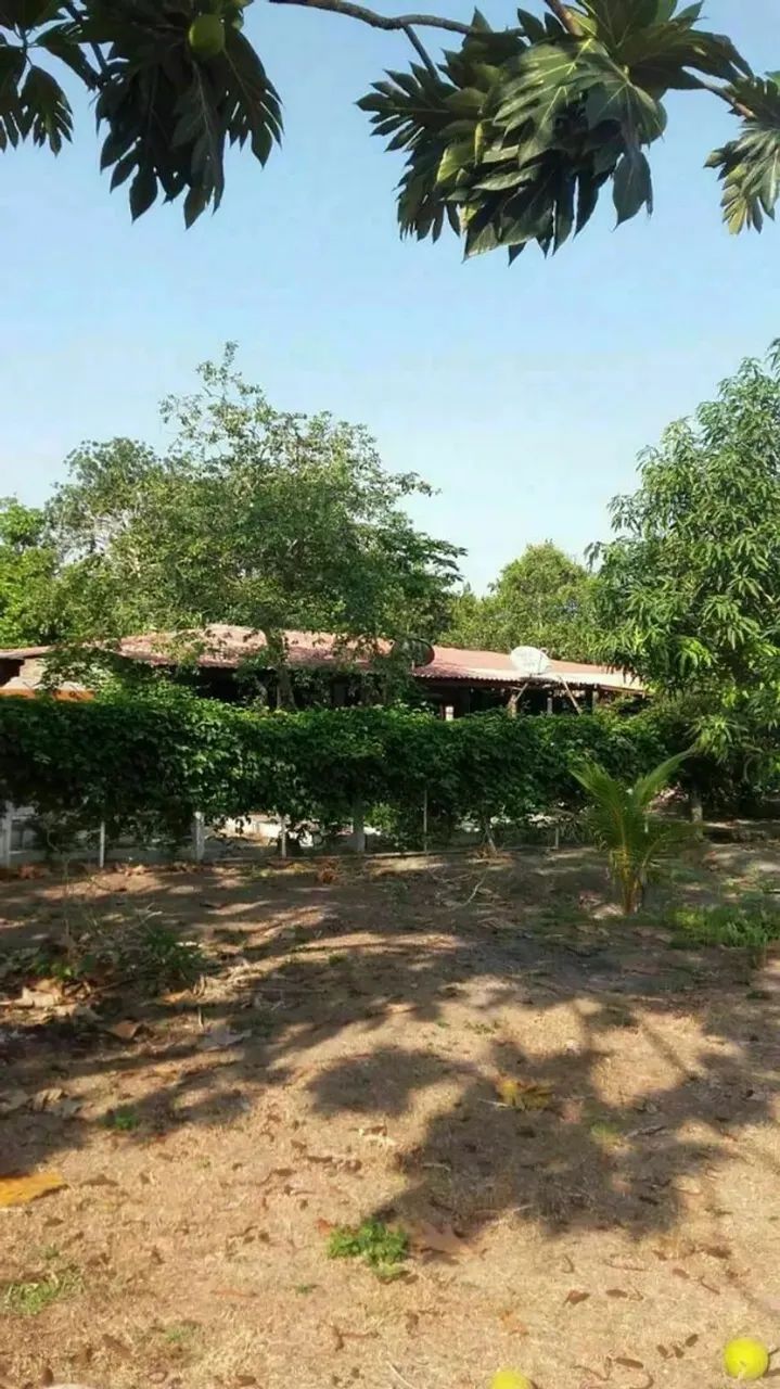 VENDO SÍTIO EM RIO PRETO DA EVA COM 27.500 METROS - Foto 7