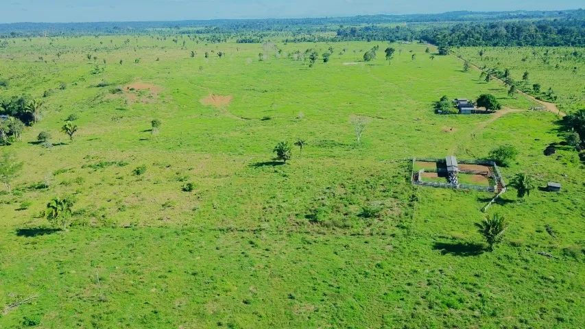 VENDO FAZENDA COM ÁREA DE 490 HECTARES - Foto 2