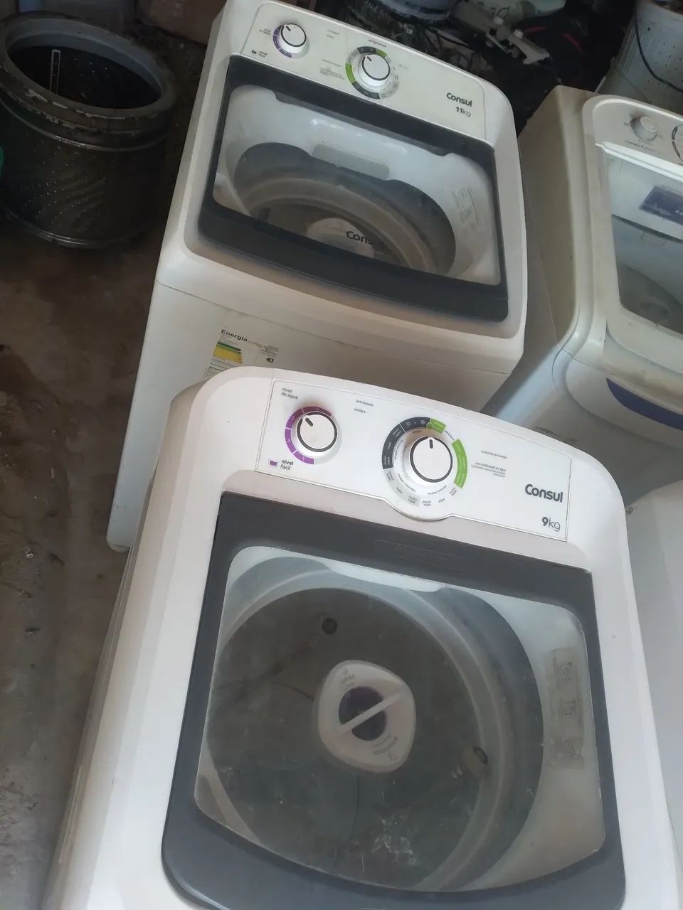 Domesticos - Foto 3