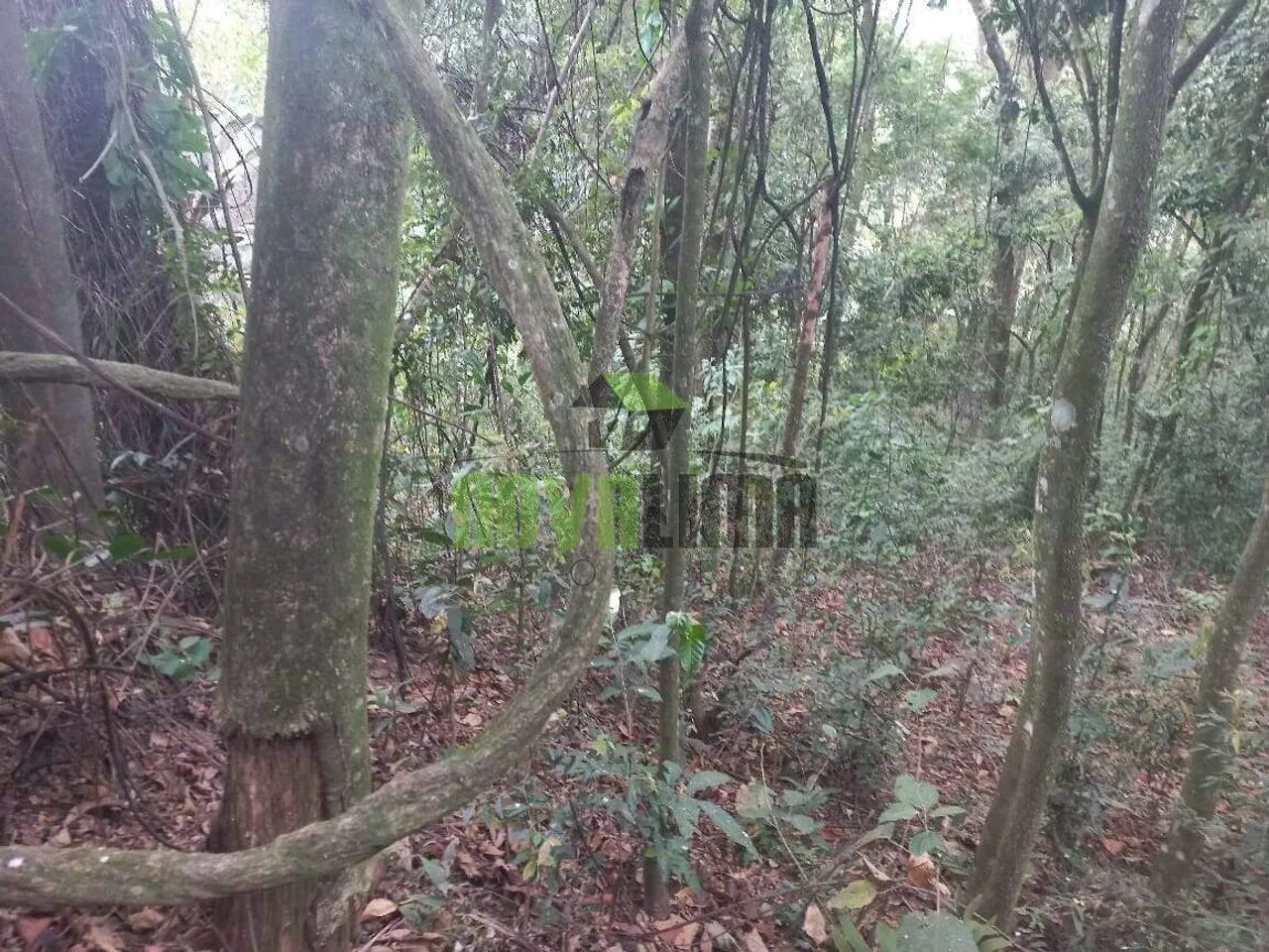 Lotes em Condomínio - Foto 3