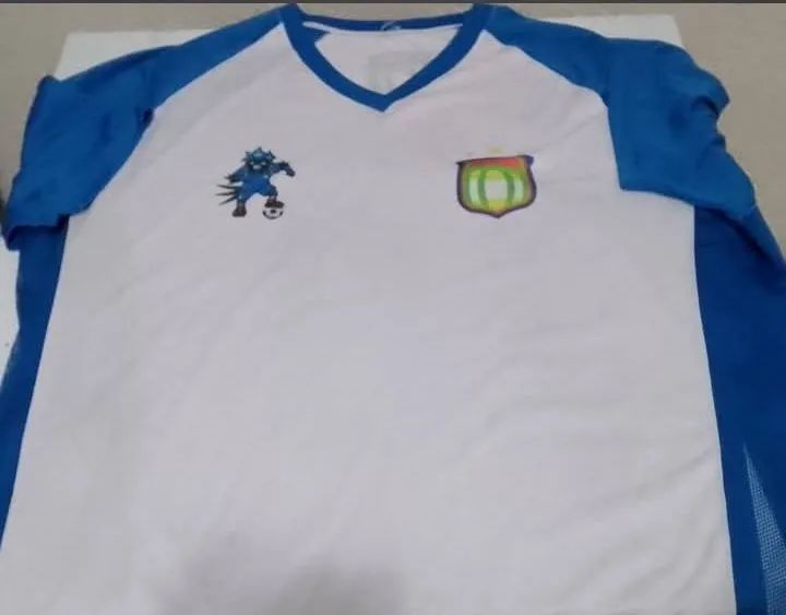 Camisa do São Caetano, Visitante