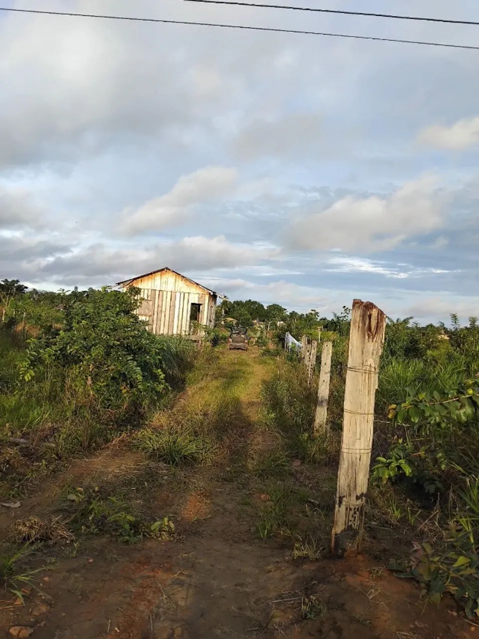 Chácara  - Foto 2