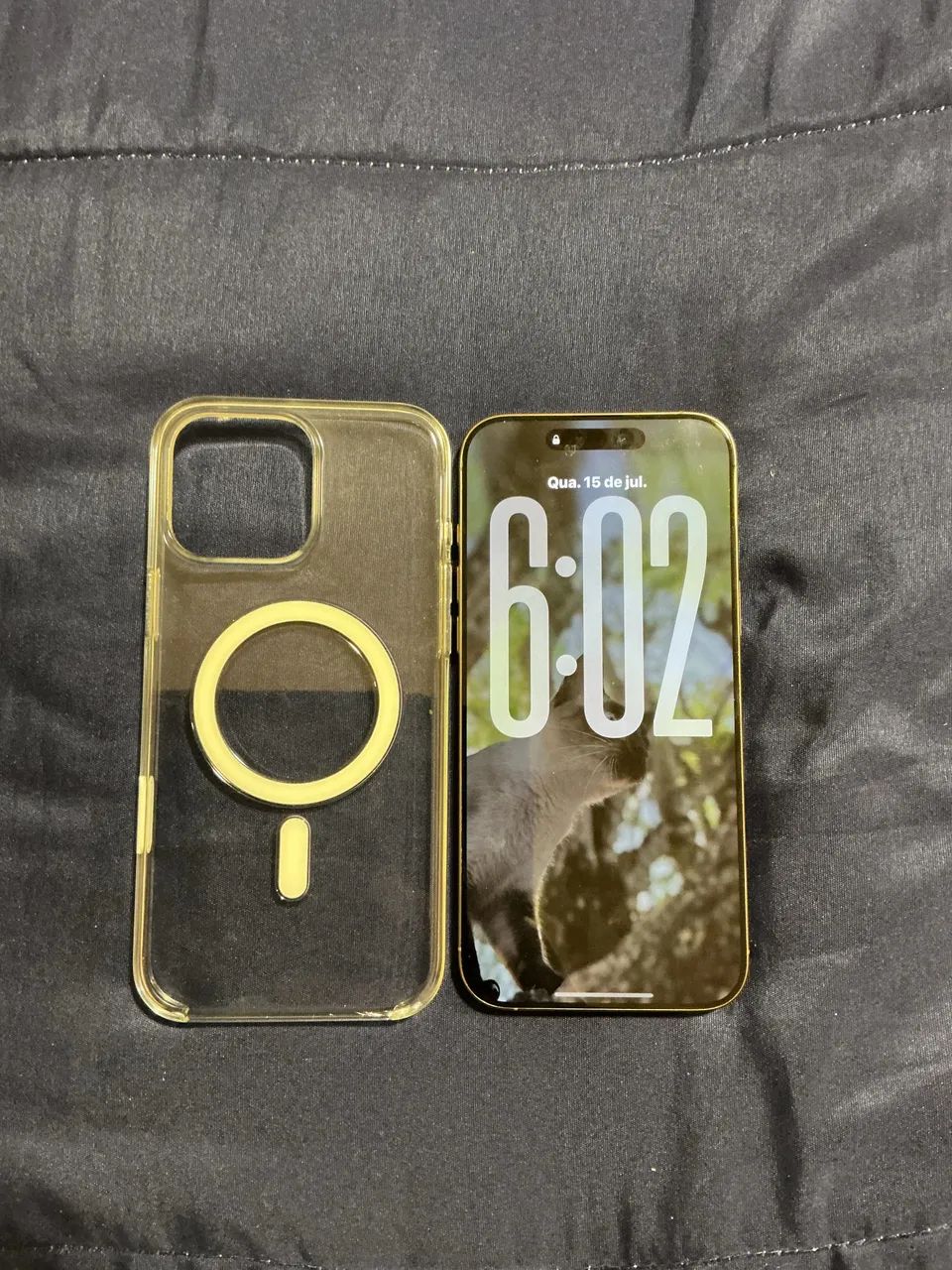 iPhone 16 Pro Max 256GB C/ Case Original Apple