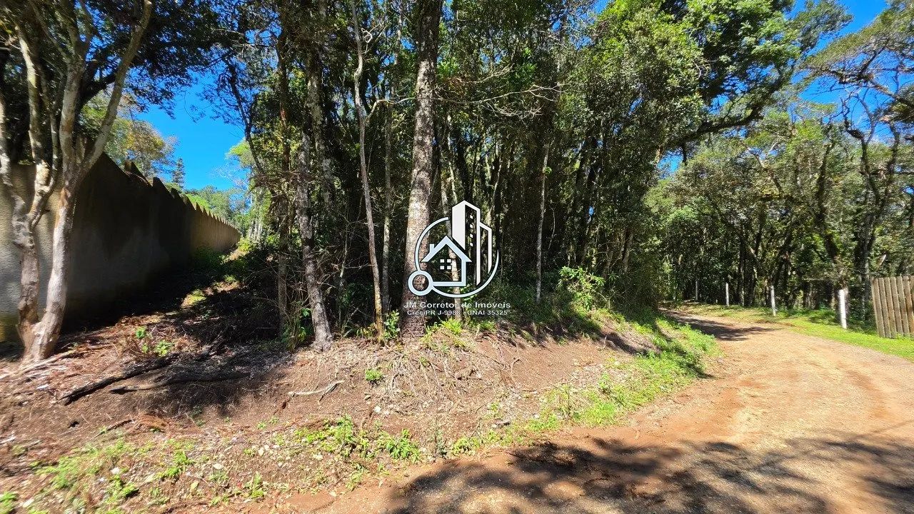Chácara urbana em Quatro Barras/Pr, com 2500m² - Foto 4
