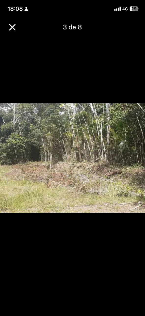 Terreno com Igarapé no outeiro 