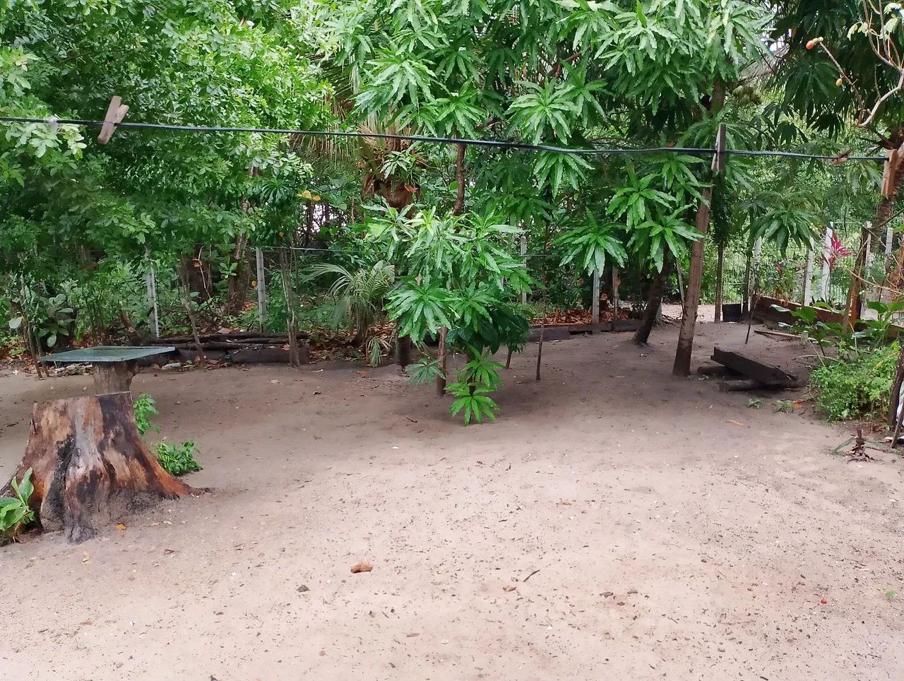 Alugo uma casa na barra de santo Antônio na ilha da croa por temporada - Foto 12