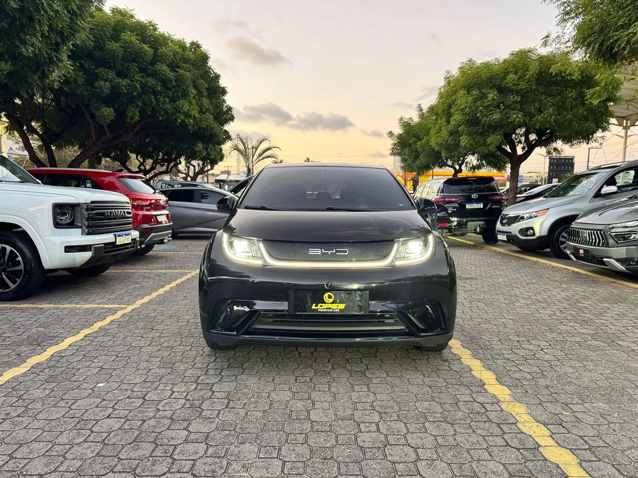 BYD Dolphin EV (Elétrico) 2024 - Foto 3