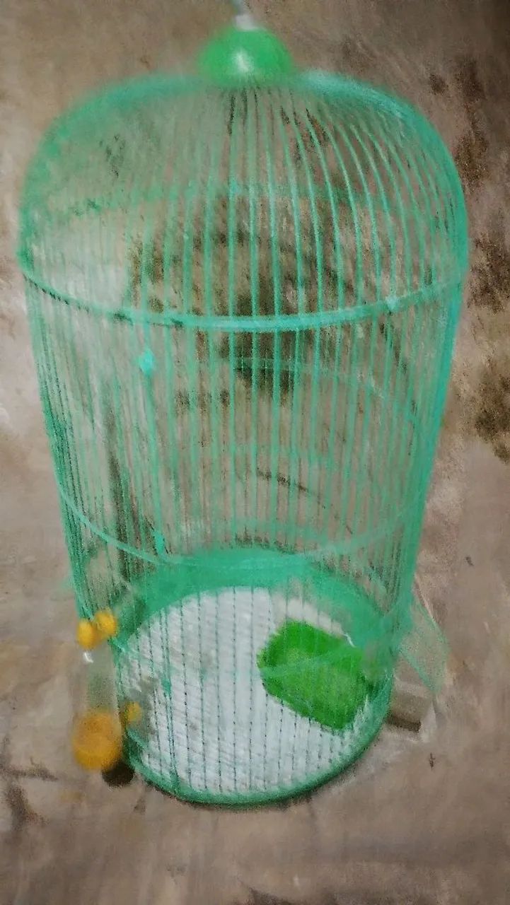 Gaiola de calopsita  - Foto 4