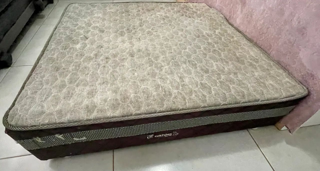 Cama box pet424794784908584961