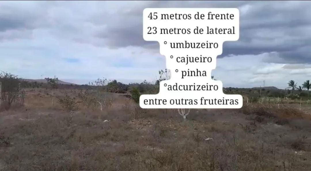 Chácara em sítio oleo/poço Redondo - Foto 3