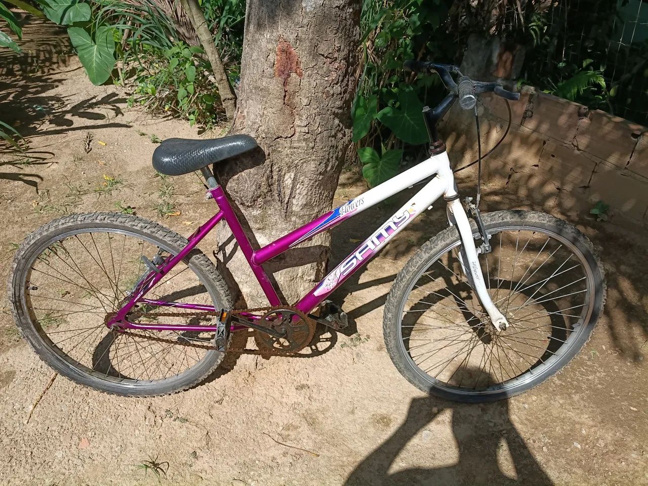 Bicicletas/bike