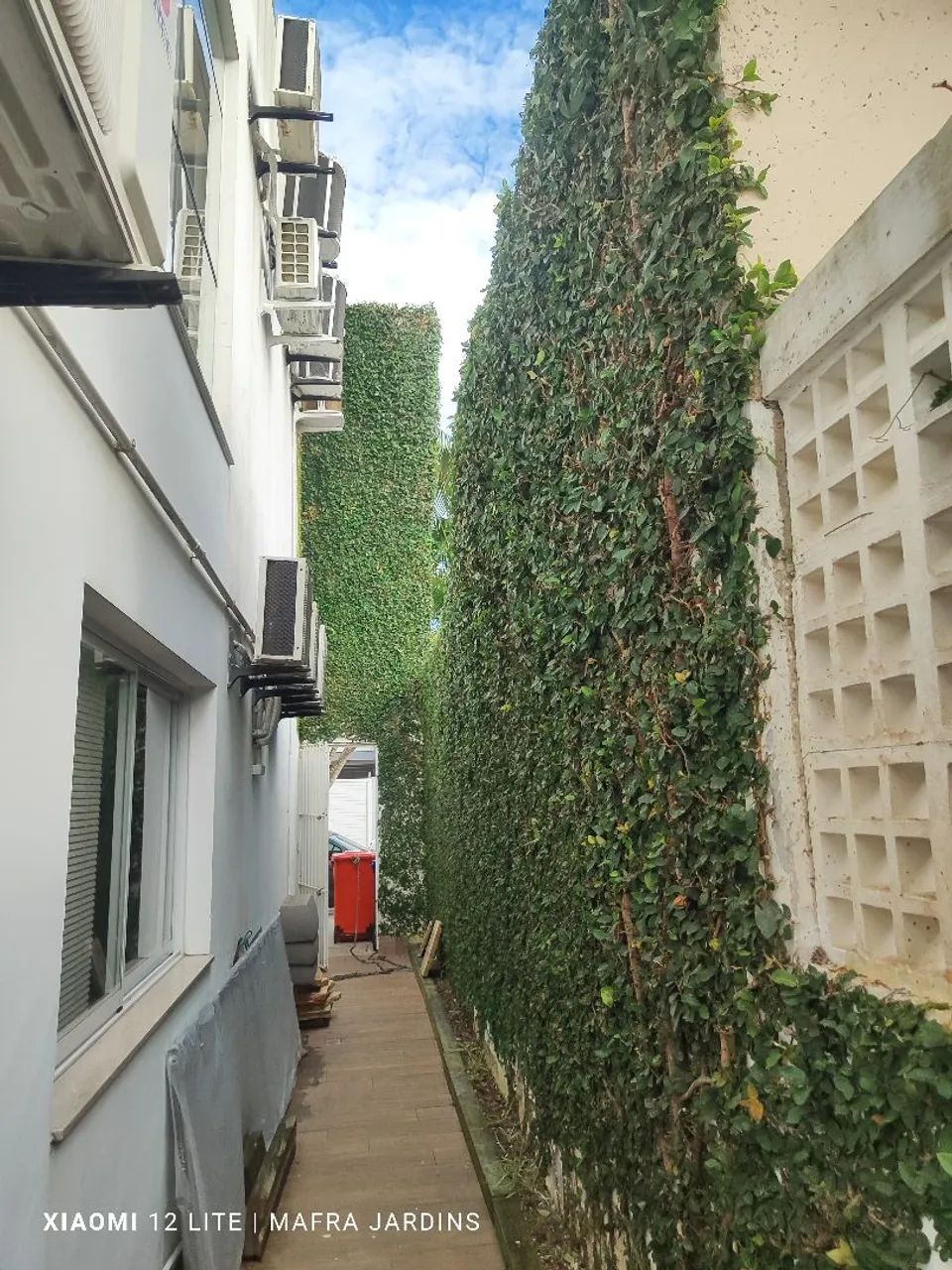 Jardinagem e paisagismo atendemos toda grande Florian ópolis  - Foto 4