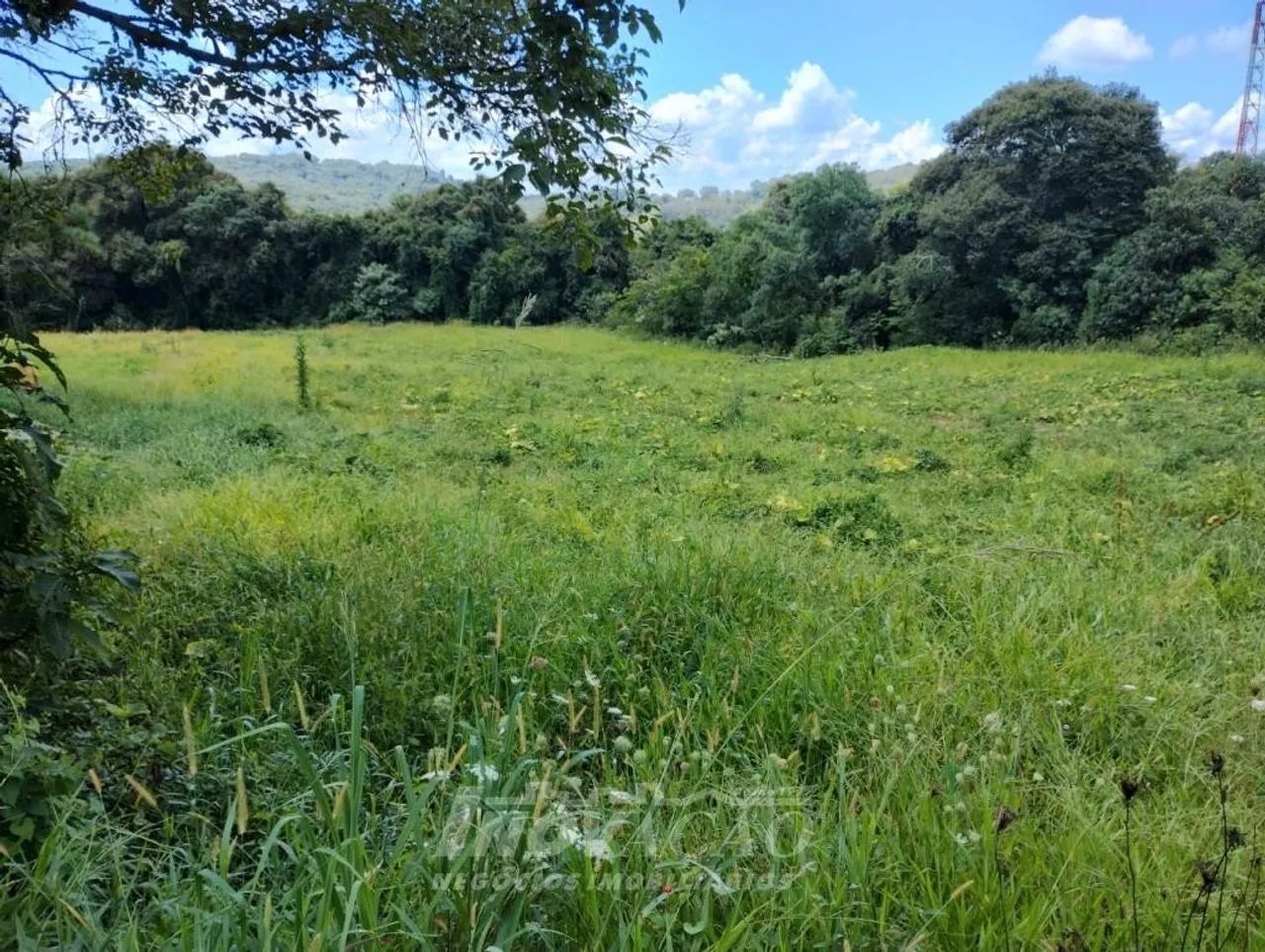 Chácara Galópolis Caxias do Sul - Foto 2